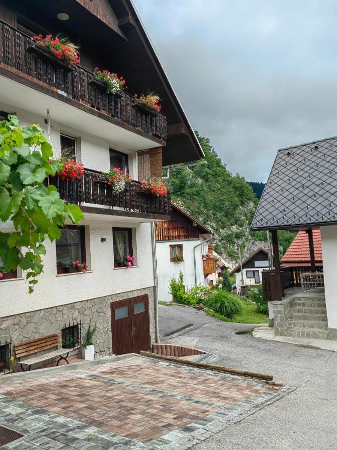 Apartma Bela Богиньська Бела Екстер'єр фото